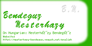 bendeguz mesterhazy business card